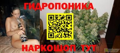 гидра Комсомольск-на-Амуре
