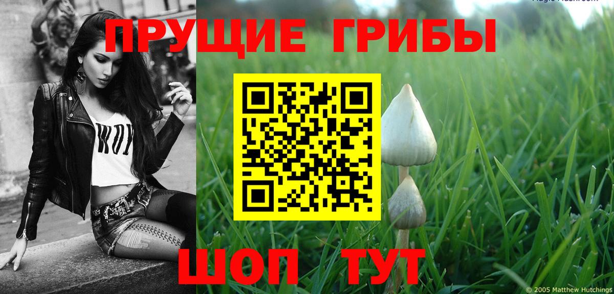 Псилоцибиновые грибы Magic Shrooms  Вход с VPN  Кизилюрт 