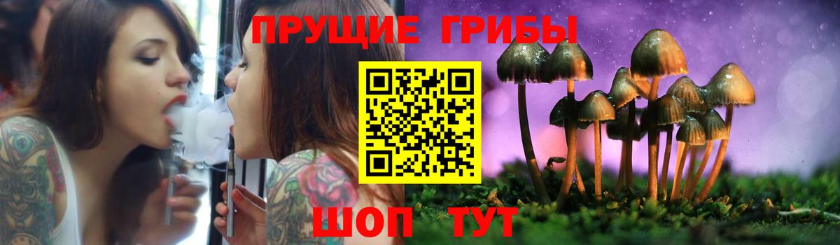 Псилоцибиновые грибы Psilocybine cubensis Кизилюрт